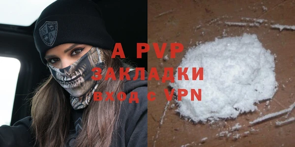дживик Туринск