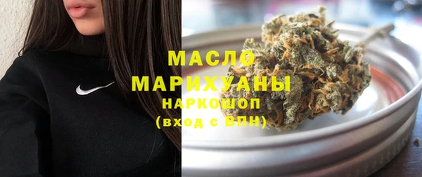 дживик Туринск
