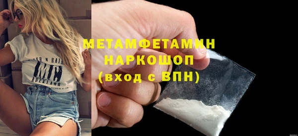 дживик Туринск