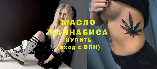дживик Туринск