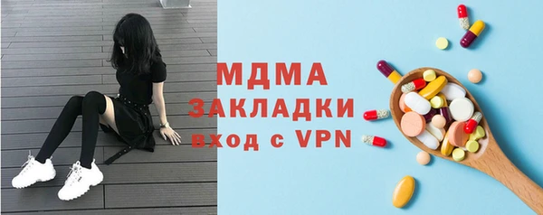 дживик Туринск