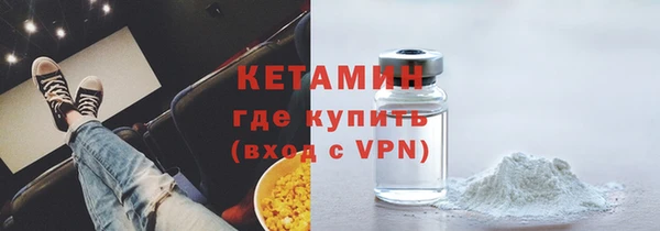 дживик Туринск