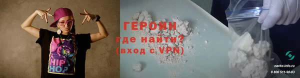 дживик Туринск