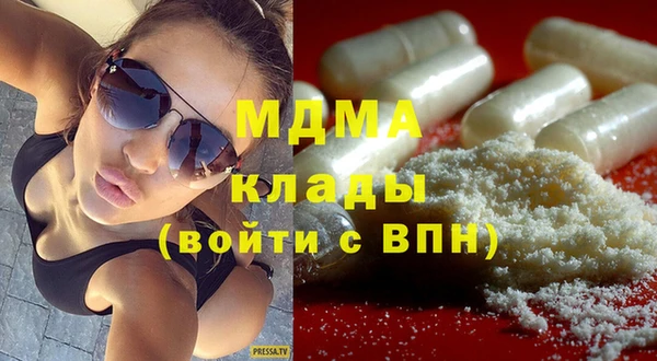 дживик Туринск