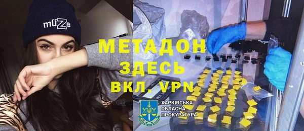 дживик Туринск
