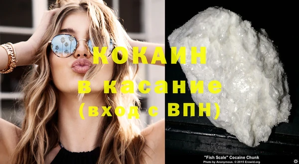 дживик Туринск
