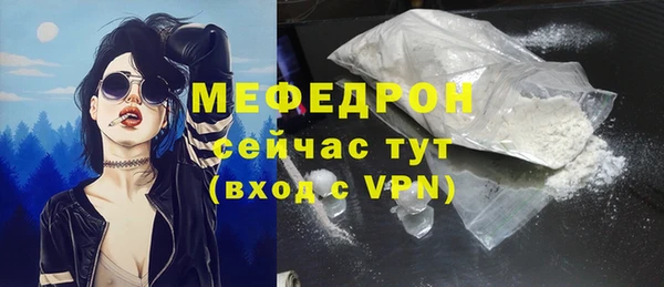 дживик Туринск